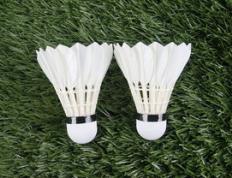 乐鱼 vip 注册-泰国羽毛球队险胜日本羽毛球队，林丹送出助攻