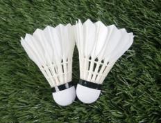 乐鱼体育-印尼羽毛球队绝杀法国羽毛球队，安赛龙打破历史纪录