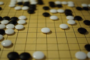 乐鱼-阿尔艾因战术多变，力争战胜强敌